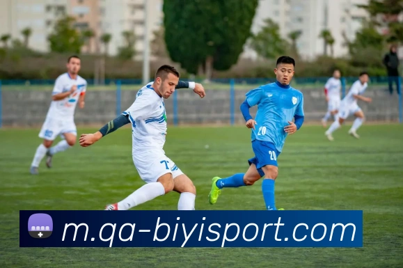 App Interface Preview