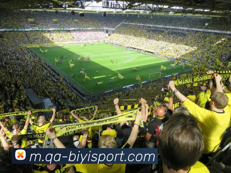 必一运动APP 封面图